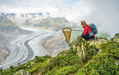 Image of a person sitting on the peak of a mountain holding a butterfly net
